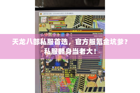 天龙八部私服首选，官方服氪金坑爹？私服翻身当老大！