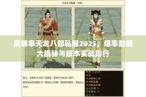 高爆率天龙八部私服2025，爆率数据大揭秘与版本实战排行