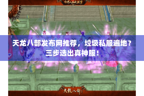天龙八部发布网推荐，垃圾私服遍地？三步选出真神服！