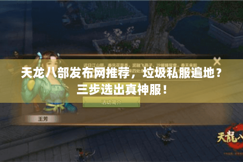 天龙八部发布网推荐，垃圾私服遍地？三步选出真神服！