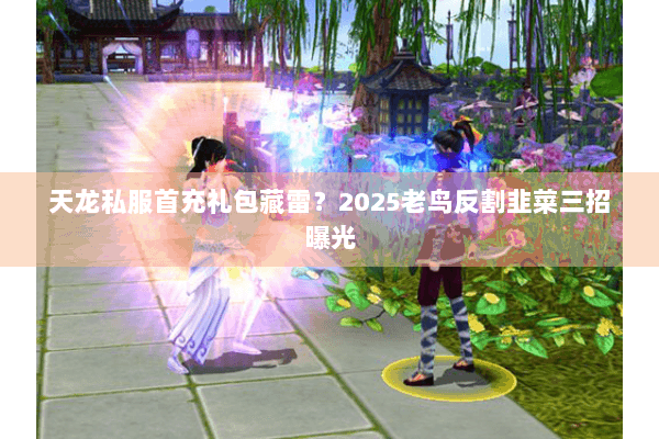天龙私服首充礼包藏雷？2025老鸟反割韭菜三招曝光