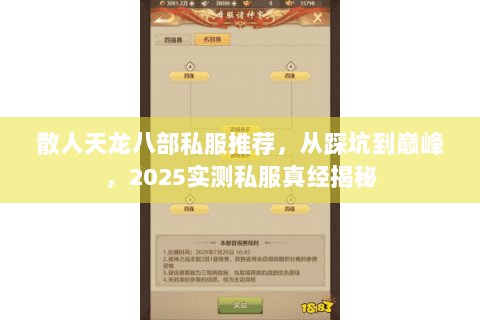 散人天龙八部私服推荐，从踩坑到巅峰，2025实测私服真经揭秘