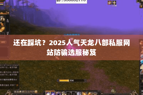 还在踩坑?2025人气天龙八部私服网站防骗选服秘笈 还在踩坑?2025人气天龙八部私服网站防骗选服秘笈