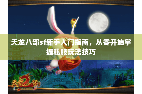 天龙八部sf新手入门指南，从零开始掌握私服玩法技巧