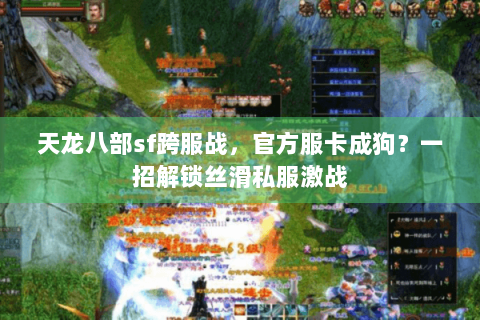 天龙八部sf跨服战，官方服卡成狗？一招解锁丝滑私服激战