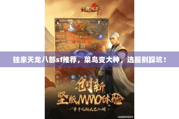 独家天龙八部sf推荐，菜鸟变大神，选服别踩坑！