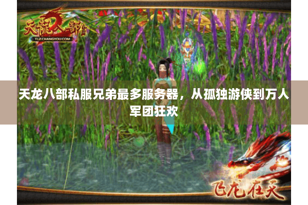 天龙八部私服兄弟最多服务器，从孤独游侠到万人军团狂欢