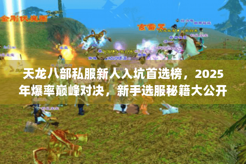 天龙八部私服新人入坑首选榜，2025年爆率巅峰对决，新手选服秘籍大公开