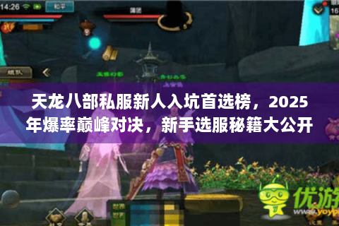 天龙八部私服新人入坑首选榜，2025年爆率巅峰对决，新手选服秘籍大公开