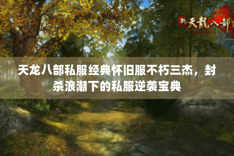 天龙八部私服经典怀旧服不朽三杰，封杀浪潮下的私服逆袭宝典