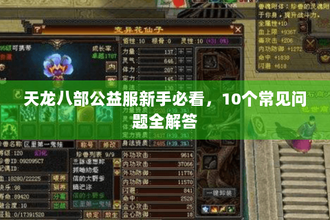 天龙八部公益服新手必看,10个常见问题全解答 天龙八部公益服新手必看,10个常见问题全解答