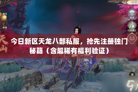 今日新区天龙八部私服，抢先注册独门秘籍（含超稀有福利验证）