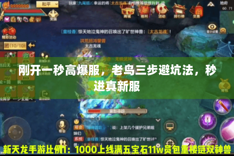 刚开一秒高爆服，老鸟三步避坑法，秒进真新服