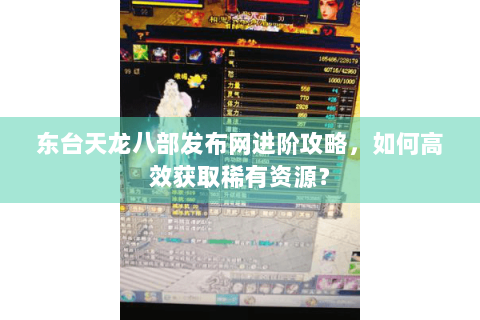 东台天龙八部发布网进阶攻略，如何高效获取稀有资源？