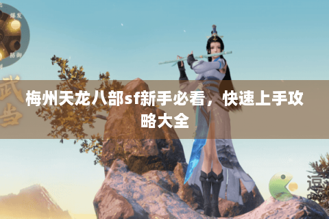 梅州天龙八部sf新手必看,快速上手攻略大全 梅州天龙八部sf新手必看,快速上手攻略大全