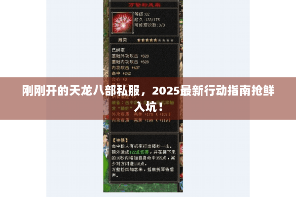 刚刚开的天龙八部私服，2025最新行动指南抢鲜入坑！