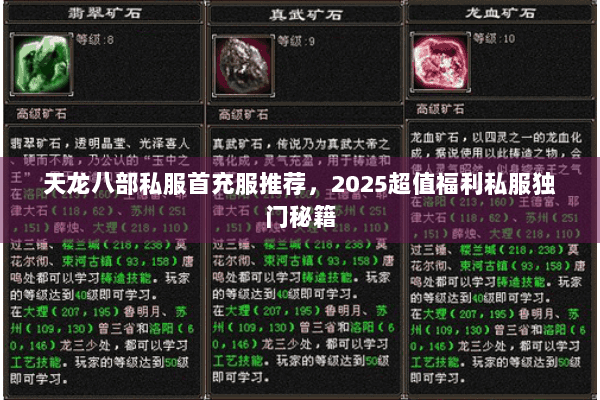 天龙八部私服首充服推荐，2025超值福利私服独门秘籍