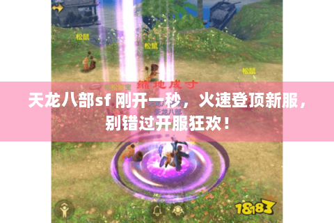 天龙八部sf 刚开一秒，火速登顶新服，别错过开服狂欢！