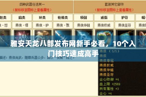 雅安天龙八部发布网新手必看，10个入门技巧速成高手