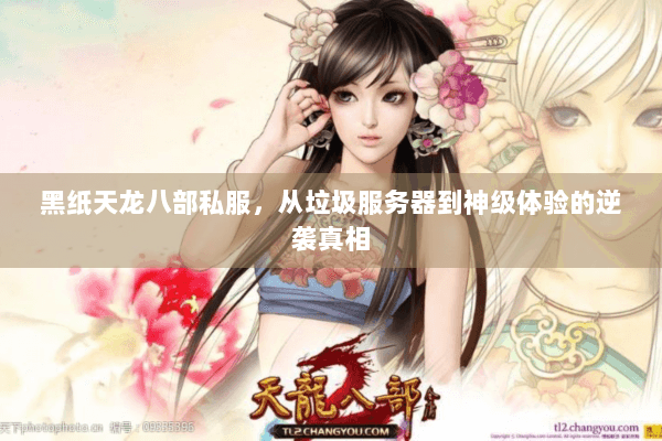 黑纸天龙八部私服,从垃圾服务器到神级体验的逆袭真相 黑纸天龙八部私服,从垃圾服务器到神级体验的逆袭真相