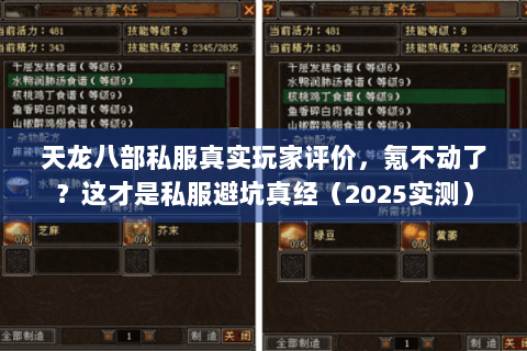 天龙八部私服真实玩家评价,氪不动了?这才是私服避坑真经(2025实测) 天龙八部私服真实玩家评价,氪不动了?这才是私服避坑真经(2025实测)