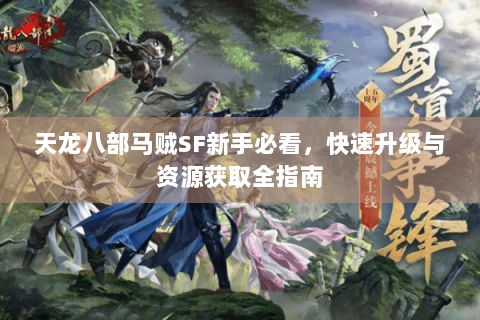 天龙八部马贼SF新手必看，快速升级与资源获取全指南