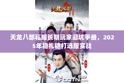 天龙八部私服长期玩家避坑手册，2025年稳扎稳打选服实战