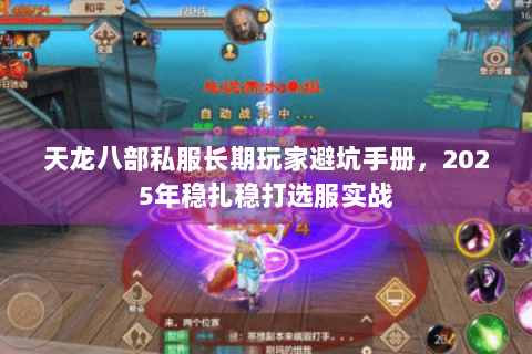 天龙八部私服长期玩家避坑手册，2025年稳扎稳打选服实战