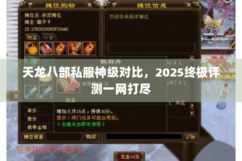 天龙八部私服神级对比，2025终极评测一网打尽