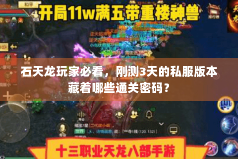 石天龙玩家必看，刚测3天的私服版本藏着哪些通关密码？