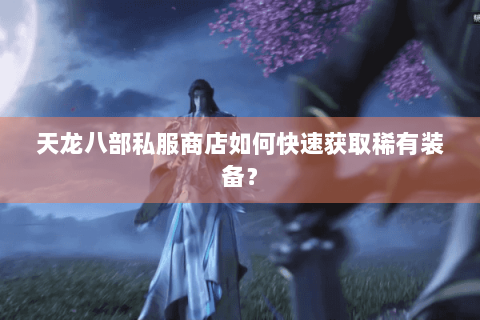 天龙八部私服商店如何快速获取稀有装备？