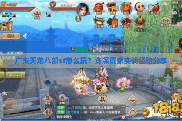 广东天龙八部sf怎么玩？资深玩家实战经验分享