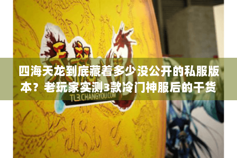 四海天龙到底藏着多少没公开的私服版本？老玩家实测3款冷门神服后的干货总结