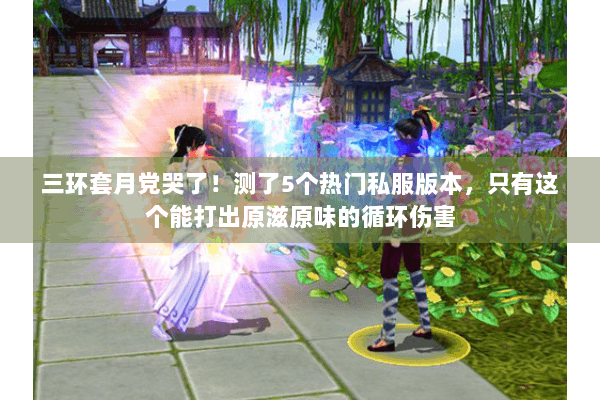 三环套月党哭了！测了5个热门私服版本，只有这个能打出原滋原味的循环伤害