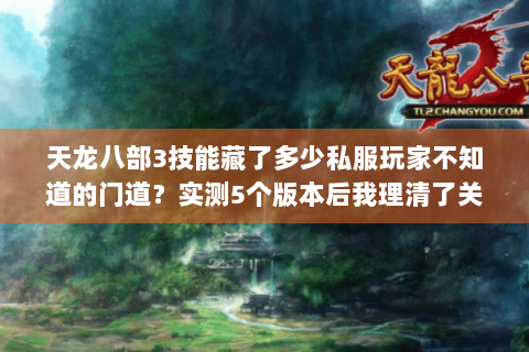 天龙八部3技能藏了多少私服玩家不知道的门道?实测5个版本后我理清了关键 天龙八部3技能藏了多少私服玩家不知道的门道?实测5个版本后我理清了关键