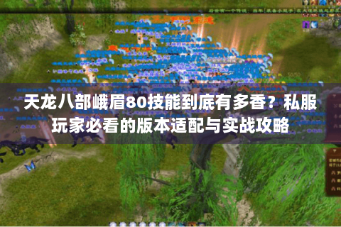 天龙八部峨眉80技能到底有多香?私服玩家必看的版本适配与实战攻略 天龙八部峨眉80技能到底有多香?私服玩家必看的版本适配与实战攻略