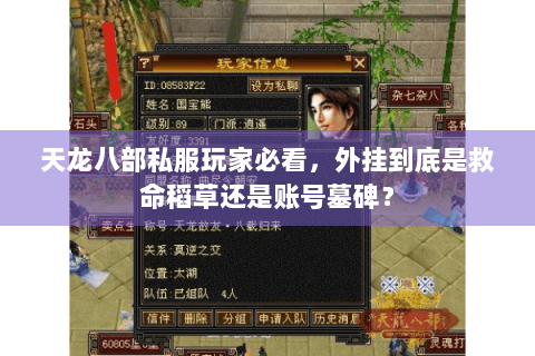 天龙八部私服玩家必看，外挂到底是救命稻草还是账号墓碑？