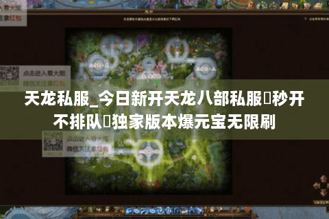 天龙私服_今日新开天龙八部私服▷秒开不排队◁独家版本爆元宝无限刷