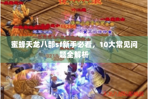 蜜蜂天龙八部sf新手必看,10大常见问题全解析 蜜蜂天龙八部sf新手必看,10大常见问题全解析