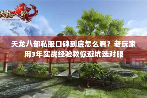 天龙八部私服口碑到底怎么看？老玩家用3年实战经验教你避坑选对服