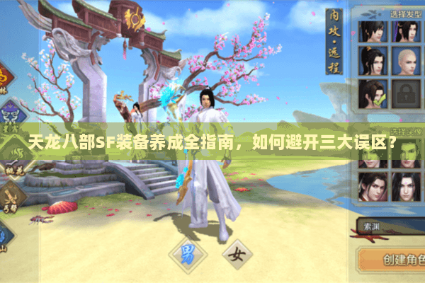 天龙八部SF装备养成全指南，如何避开三大误区？