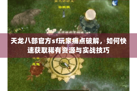 天龙八部官方sf玩家痛点破解，如何快速获取稀有资源与实战技巧