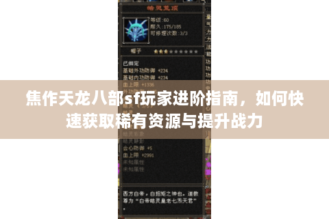焦作天龙八部sf玩家进阶指南，如何快速获取稀有资源与提升战力