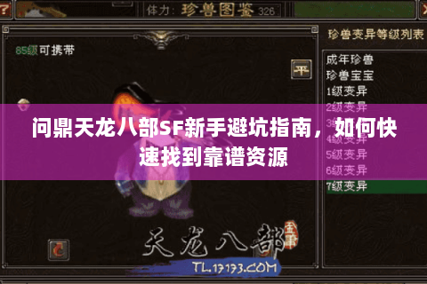 问鼎天龙八部SF新手避坑指南,如何快速找到靠谱资源 问鼎天龙八部SF新手避坑指南,如何快速找到靠谱资源