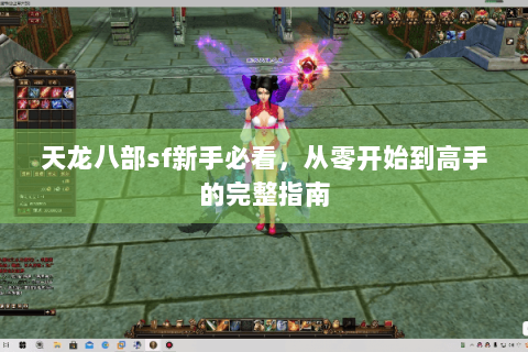 天龙八部sf新手必看,从零开始到高手的完整指南 天龙八部sf新手必看,从零开始到高手的完整指南
