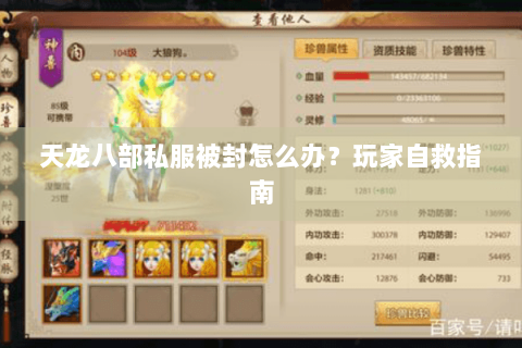 天龙八部私服被封怎么办?玩家自救指南 天龙八部私服被封怎么办?玩家自救指南