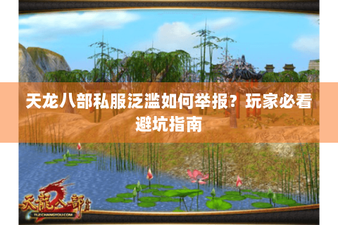 天龙八部私服泛滥如何举报？玩家必看避坑指南