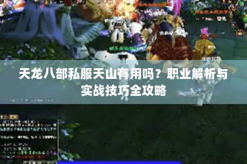 天龙八部私服天山有用吗?职业解析与实战技巧全攻略 天龙八部私服天山有用吗?职业解析与实战技巧全攻略