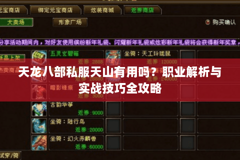 天龙八部私服天山有用吗?职业解析与实战技巧全攻略 天龙八部私服天山有用吗?职业解析与实战技巧全攻略