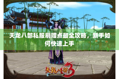 天龙八部私服刷赠点最全攻略,新手如何快速上手 天龙八部私服刷赠点最全攻略,新手如何快速上手
